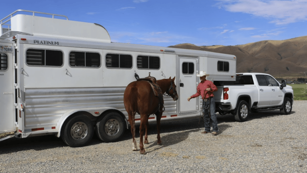 Horse Trailer